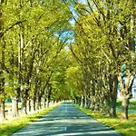 Ostsee Hotel-pension An Der Lindenallee 4*