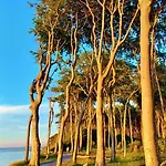 Ostsee Hotel-pension An Der Lindenallee 4*
