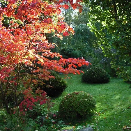 Ostsee Hotel-pension An Der Lindenallee Pensjonat