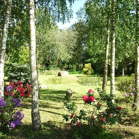 Ostsee Hotel-pension An Der Lindenallee 4* 바트 도베란