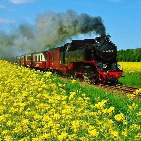 Pensjonat Ostsee Hotel-pension An Der Lindenallee