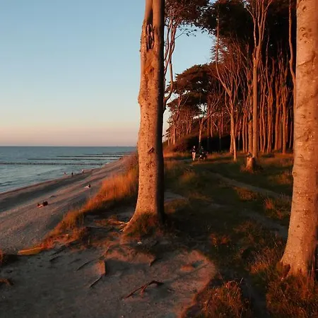 Pensjonat Ostsee Hotel-pension An Der Lindenallee