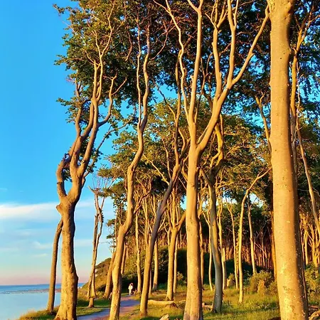 Ostsee Hotel-pension An Der Lindenallee 4*