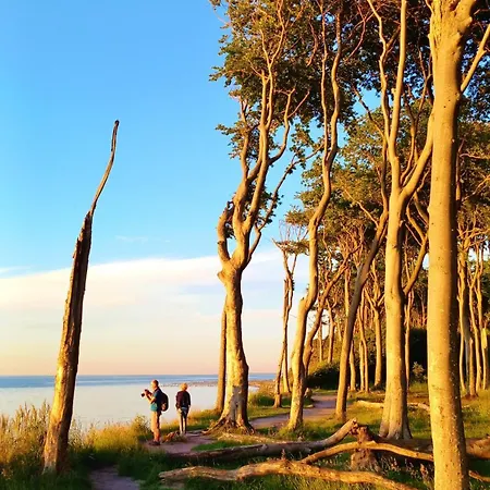 Ostsee Hotel-pension An Der Lindenallee 3* Bad Doberan