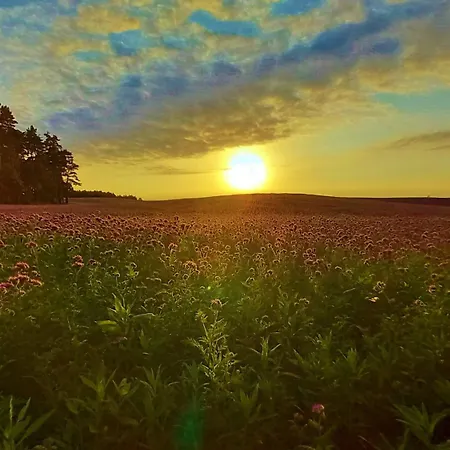 Ostsee Hotel-pension An Der Lindenallee 4* Bad Doberan
