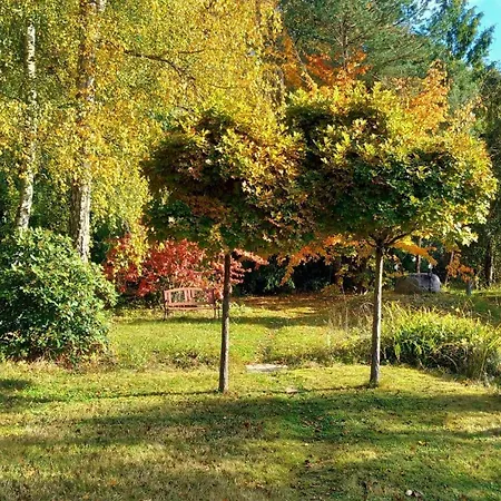 Ostsee Hotel-pension An Der Lindenallee Guest house 3*