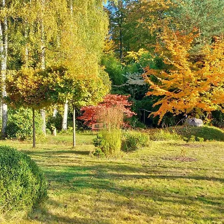Ostsee Hotel-pension An Der Lindenallee Guest house Bad Doberan