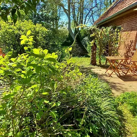 Ostsee Hotel-pension An Der Lindenallee Πανσιόν 3*