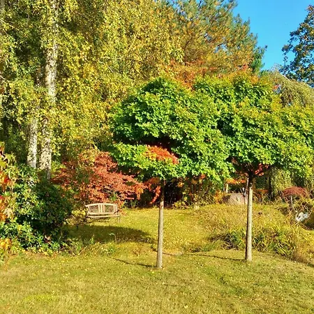 Casa de hóspedes Ostsee Hotel-pension An Der Lindenallee 4*
