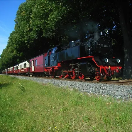 Ostsee Hotel-pension An Der Lindenallee 4*